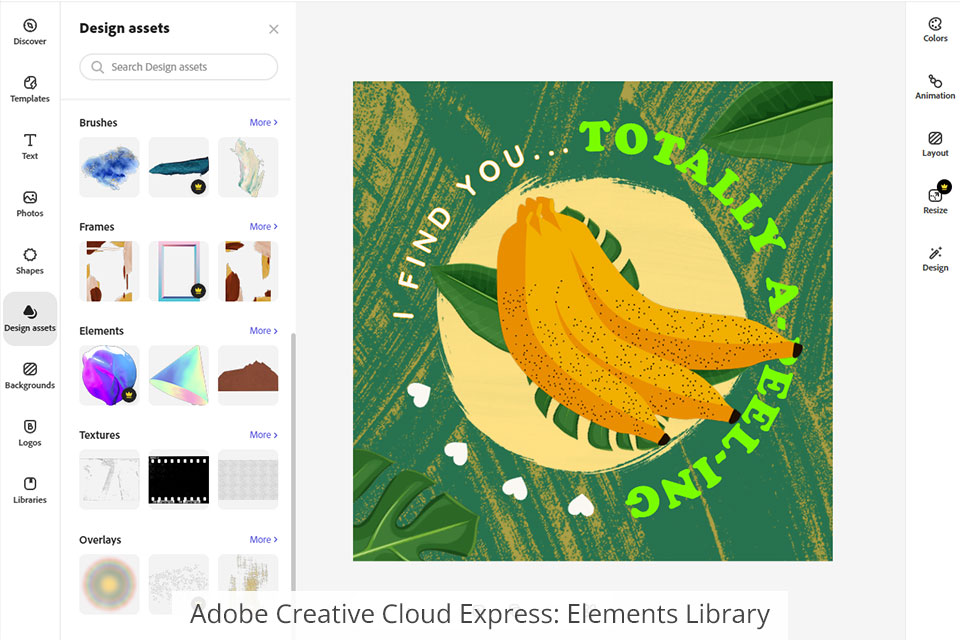 adobe creative cloud express elements library